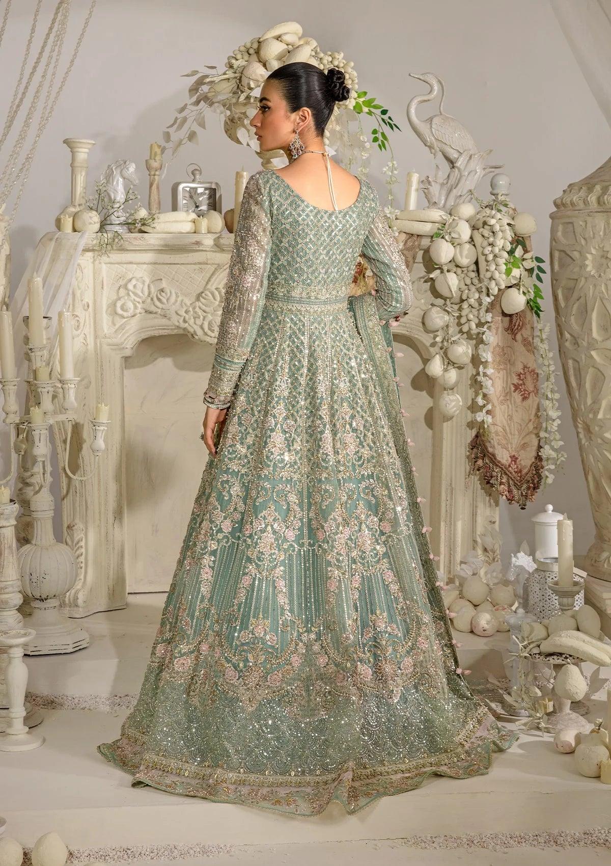 Mint Green Embroidered Net Maxi Suit | Ready to Wear