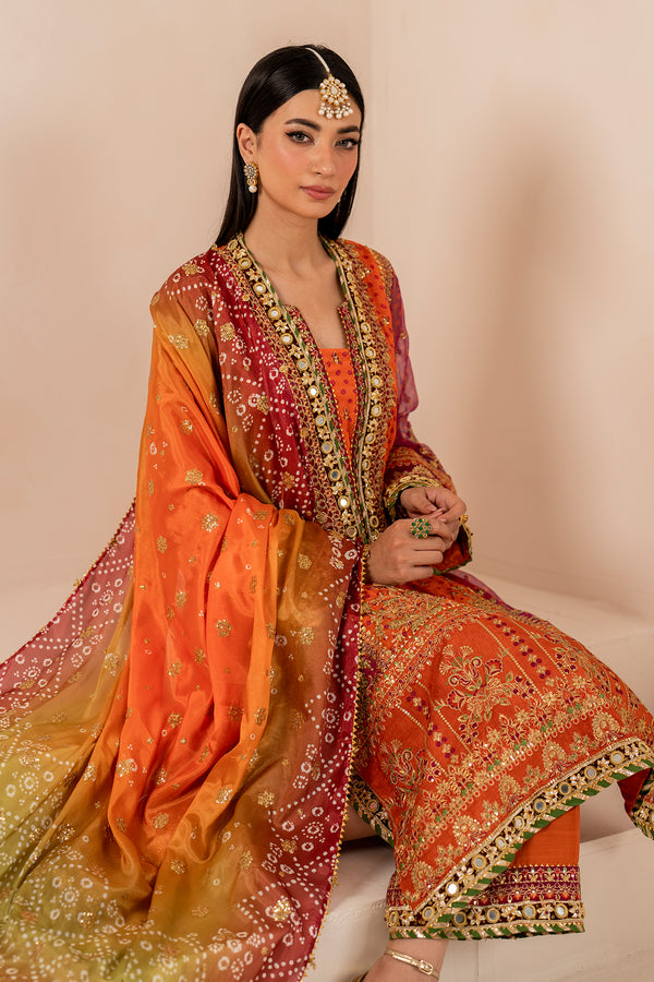 Luxury Chiffon Mehndi Collection | Heavy Embroidered Panelled 3-Piece Suit | Chunri Dupatta & Potli Bag