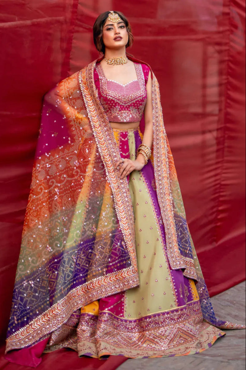 Multi-Color Raw Silk Embroidered Lehenga Set | Ready To Wear