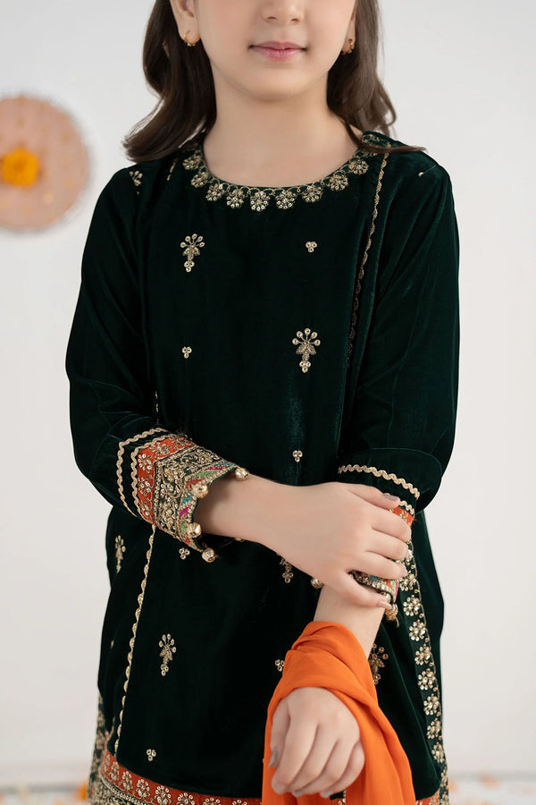03 Piece  Embroidered Chiffon Suit - Ready  To Wear