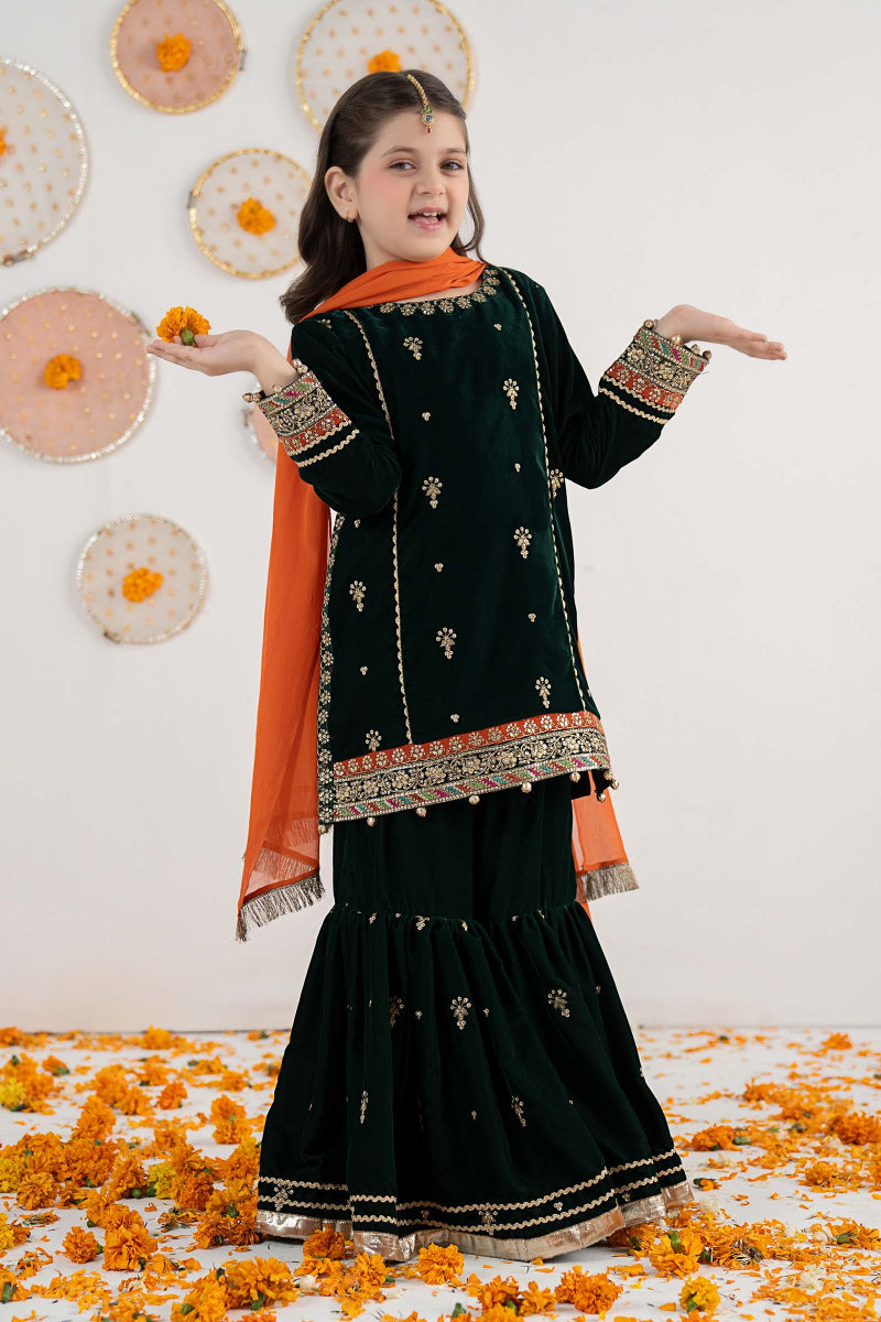 03 Piece  Embroidered Chiffon Suit - Ready  To Wear