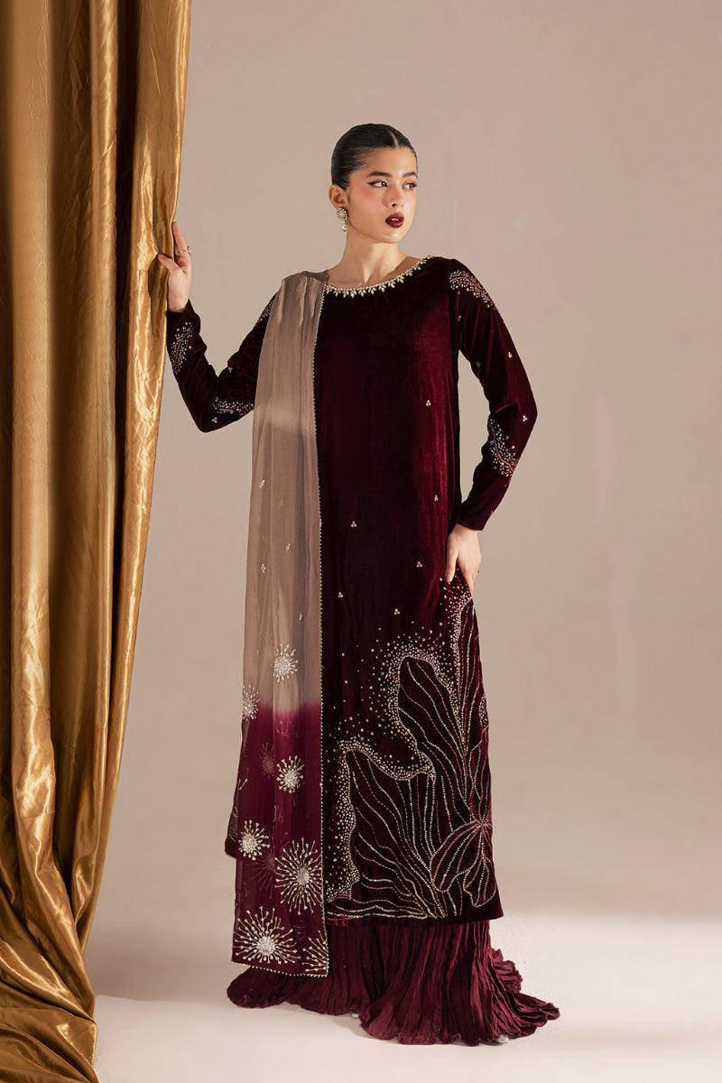Embroidered Festive Ensemble Micro Velvet 9000 | RTW